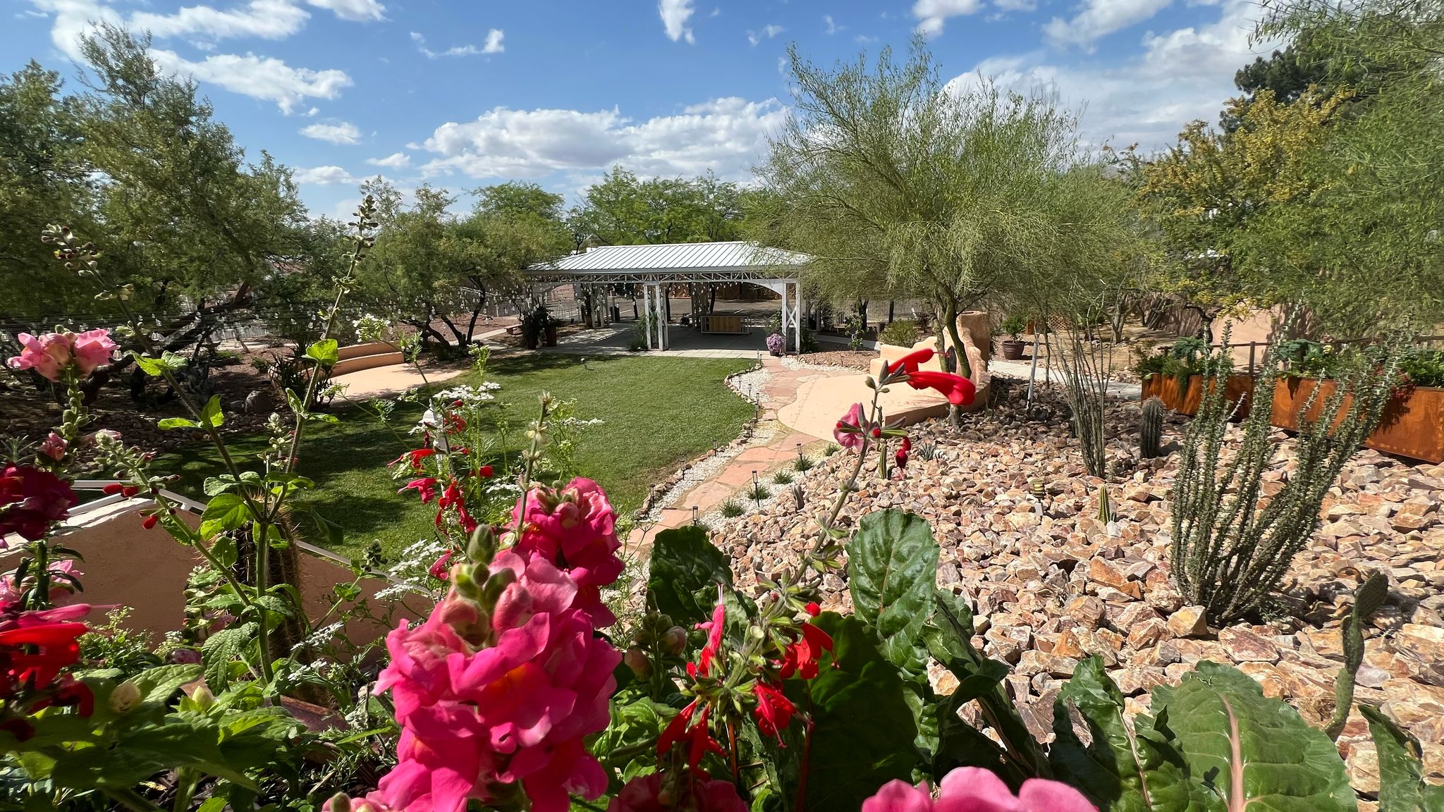 A lush desert garden features a green lawn leading to a white gazebo, surrounded by various desert plants, trees, and colorful pink and red flowers in the foreground.
