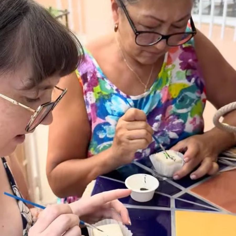 Mindful Cake Painting Picnic | February 15, Sunday